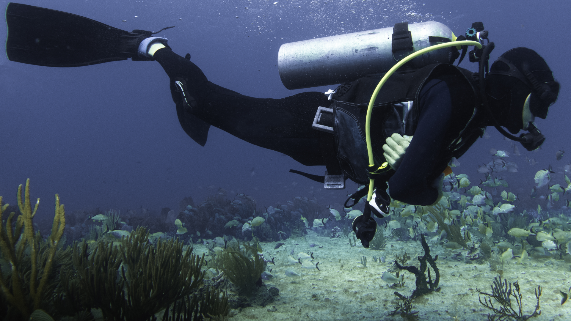 Master buoyancy and discover Dubai's underwater treasures by diving with Okaydive