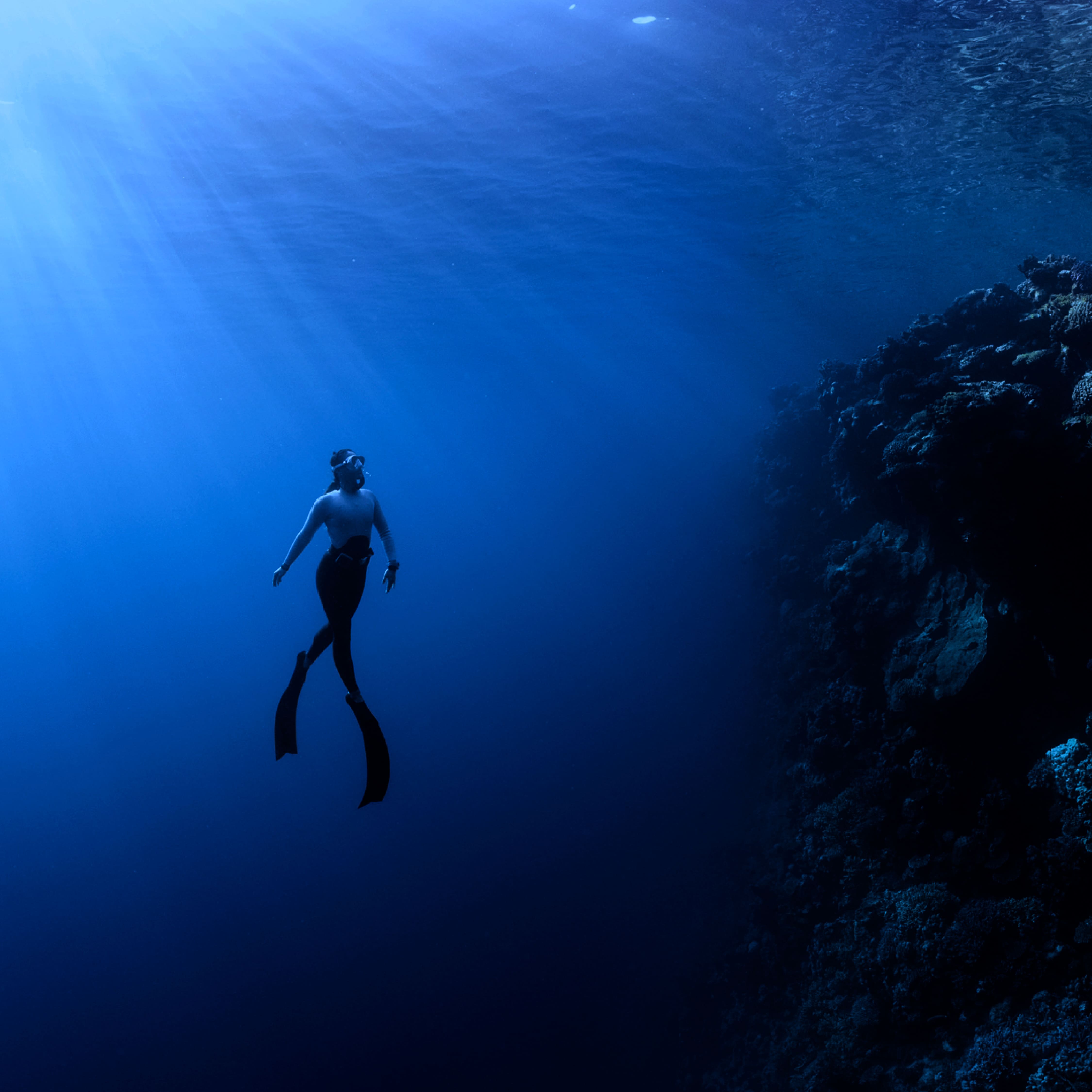 Discover Freedive (Try a freedive)