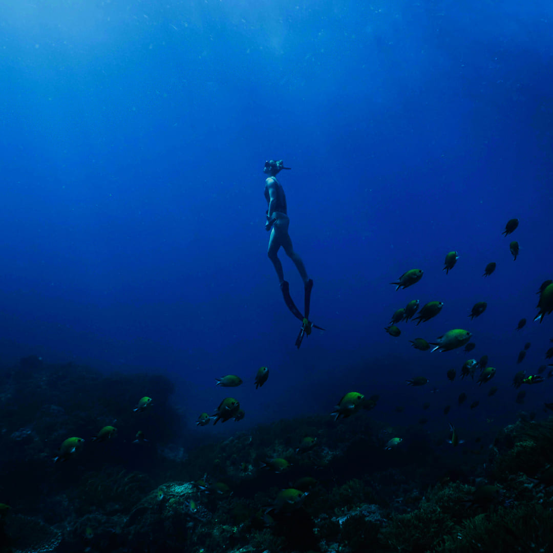 Open Water-Freediver Course