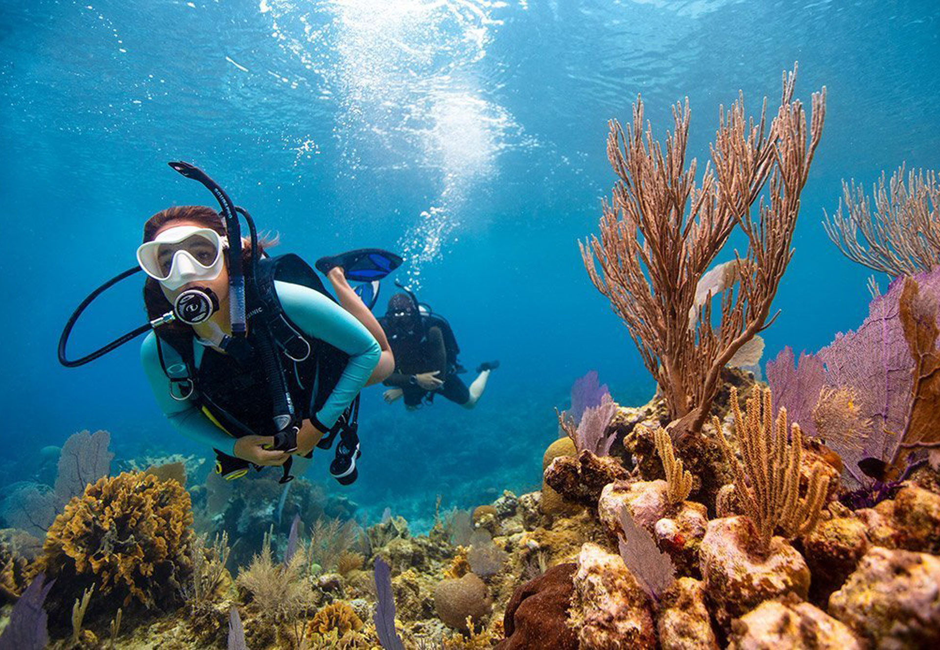 Dive Trip to Oman