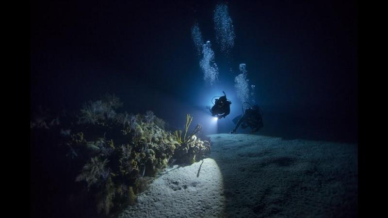 Night Diving